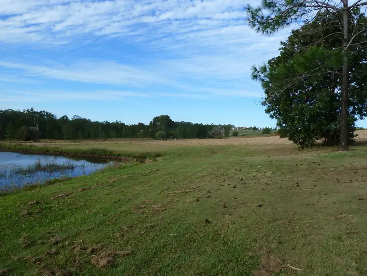 Sixth view of Homely rural property listing, 151 McDonald Road, Tinana South QLD 4650