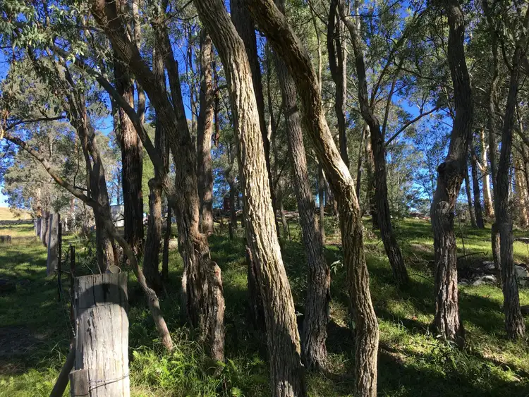 Sixth view of Homely rural property listing, Address available on request