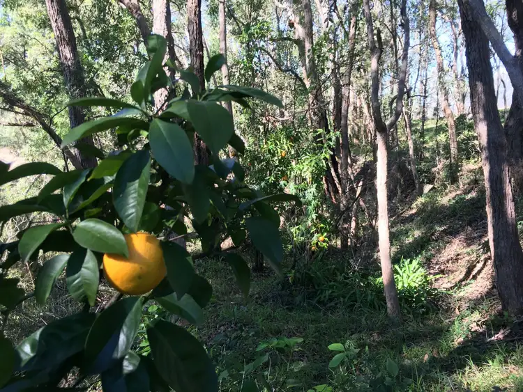 Seventh view of Homely rural property listing, Address available on request