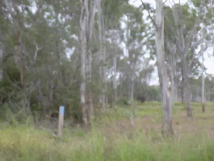 Third view of Homely land listing, 318 Eatonvale Rd, Tinana QLD 4650