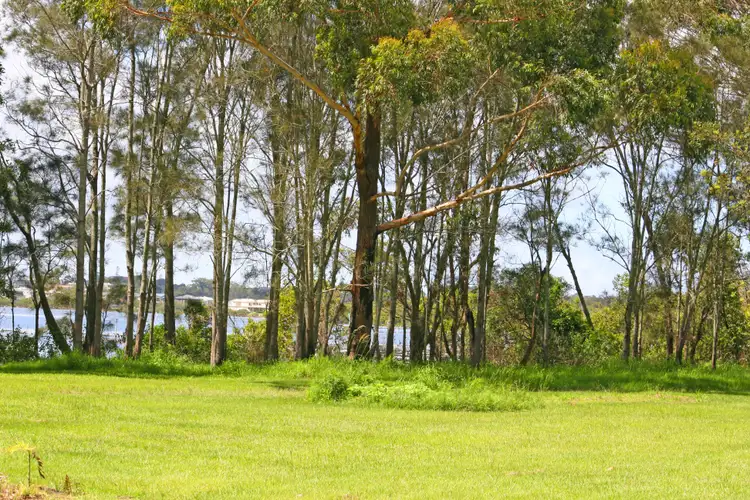 Fourth view of Homely house listing, 84 Sandfly Ally, Riverside NSW 2444