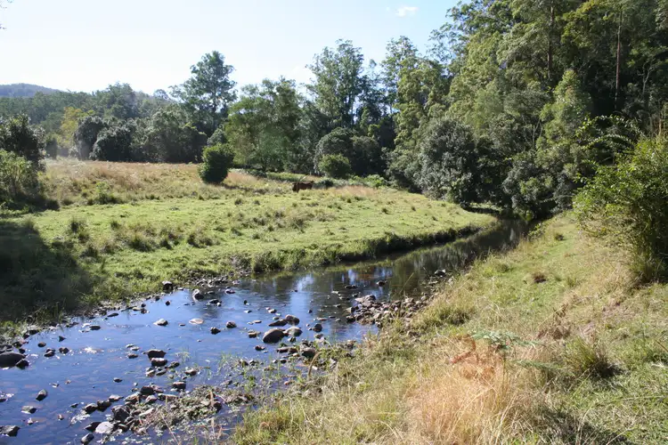 Main view of Homely rural property listing, 144 Galbraiths Road St, Bellangry NSW 2446