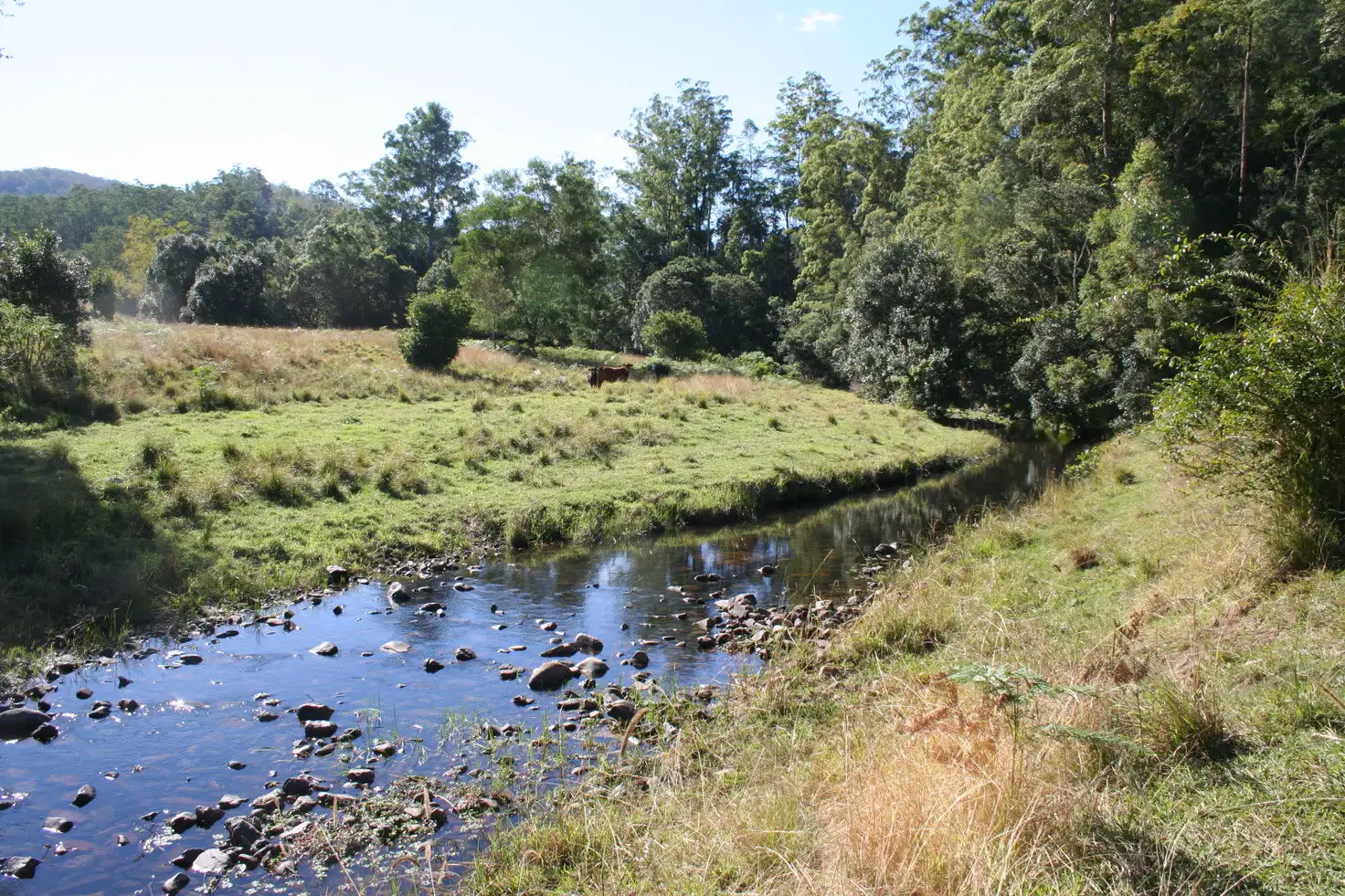 Main view of Homely rural property listing, 144 Galbraiths Road St, Bellangry NSW 2446