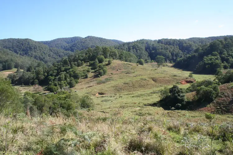 Third view of Homely rural property listing, 144 Galbraiths Road St, Bellangry NSW 2446