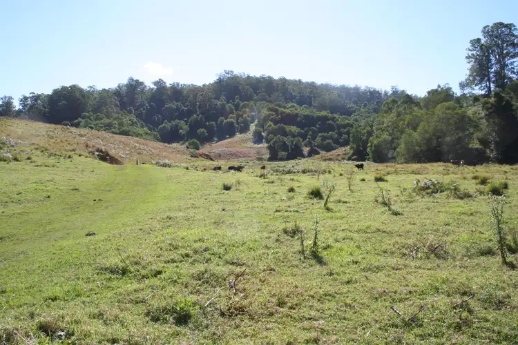 Fifth view of Homely rural property listing, 144 Galbraiths Road St, Bellangry NSW 2446
