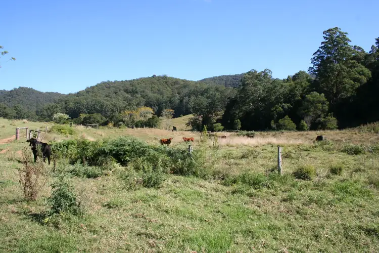 Sixth view of Homely rural property listing, 144 Galbraiths Road St, Bellangry NSW 2446