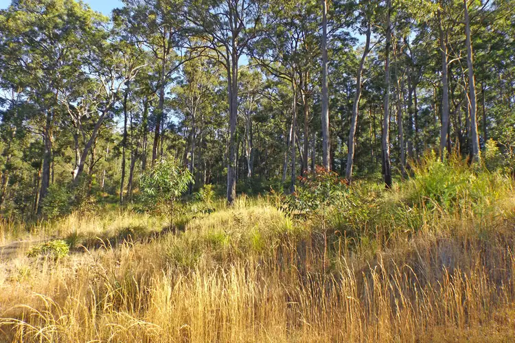 Fourth view of Homely land listing, Lots At Lake Ridge Estate, Kew NSW 2439