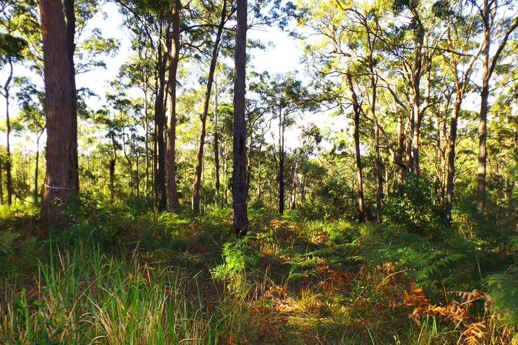 Fifth view of Homely land listing, Lots At Lake Ridge Estate, Kew NSW 2439
