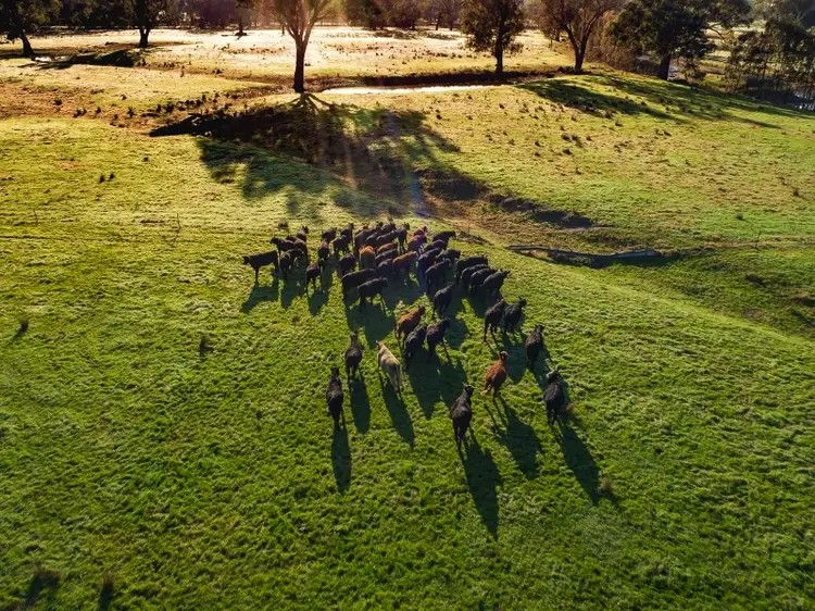 Main view of Homely rural property listing, . Conisbee Lane & Ryans Road, Bonegilla VIC 3691