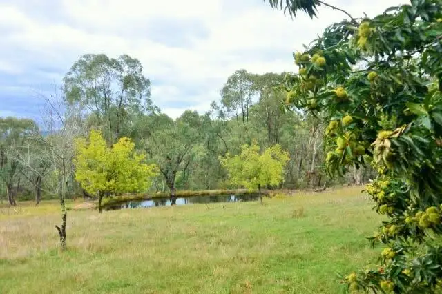 Sixth view of Homely rural property listing, 392 Racecourse Rd, Yackandandah VIC 3749