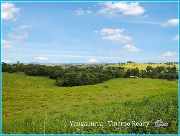 167 Hogan Road, Tarzali QLD 4885