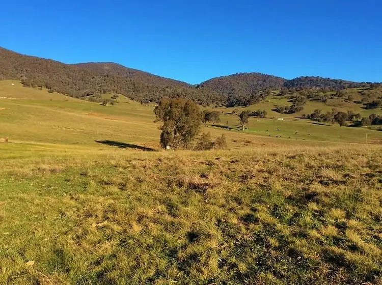 Second view of Homely rural property listing, 43A Schilg Lane, Staghorn Flat VIC 3691