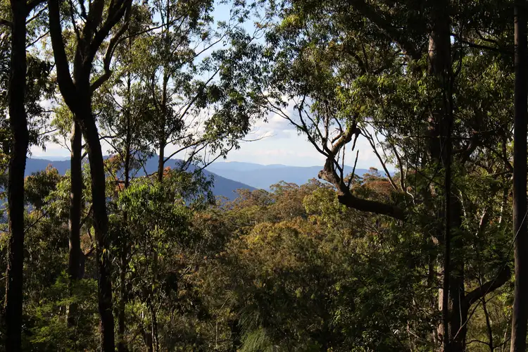 Main view of Homely rural property listing, LOT 110 Upper Avon Road, Gloucester NSW 2422