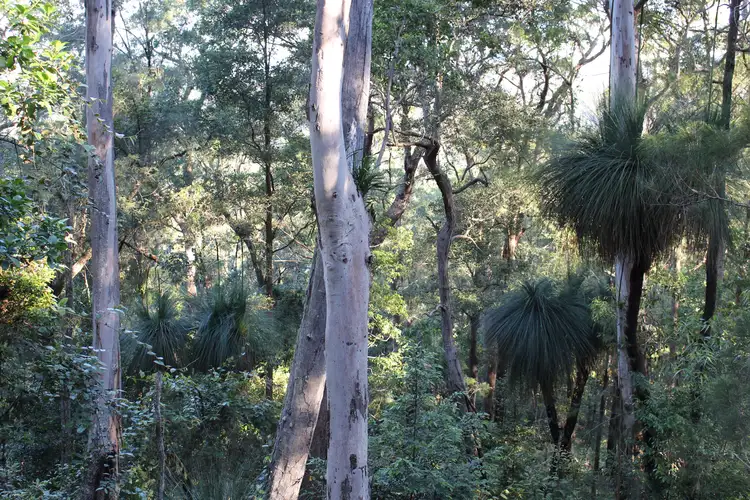 Second view of Homely rural property listing, LOT 110 Upper Avon Road, Gloucester NSW 2422