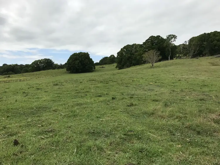 Seventh view of Homely land listing, 701 Eltham Road, Eltham NSW 2480