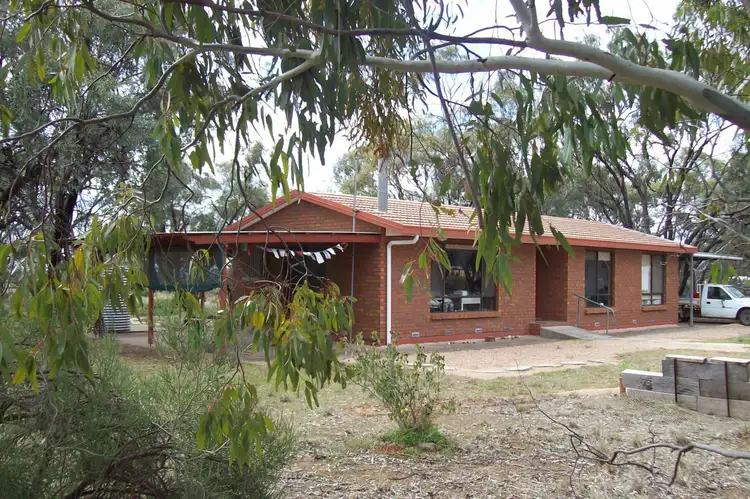 175 Alexis Road, Wilmington SA 5485