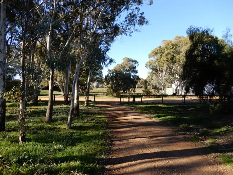 Main view of Homely house listing, 3 Redgum Street, Wirrabara SA 5481