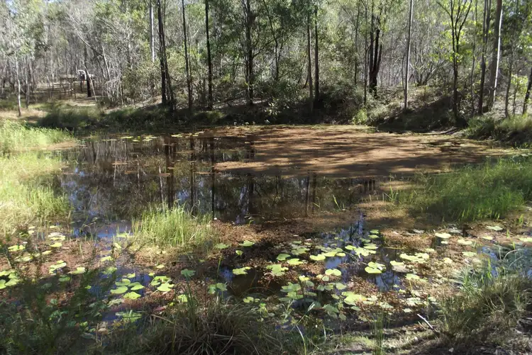 Third view of Homely land listing, 292 Marule Road, Booyal QLD 4671