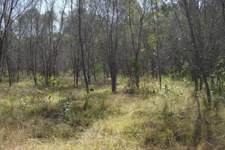 Seventh view of Homely land listing, 292 Marule Road, Booyal QLD 4671