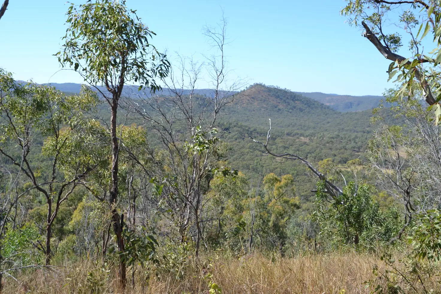 Main view of Homely rural property listing, 50340 Burnett Hwy, Mount Morgan QLD 4714