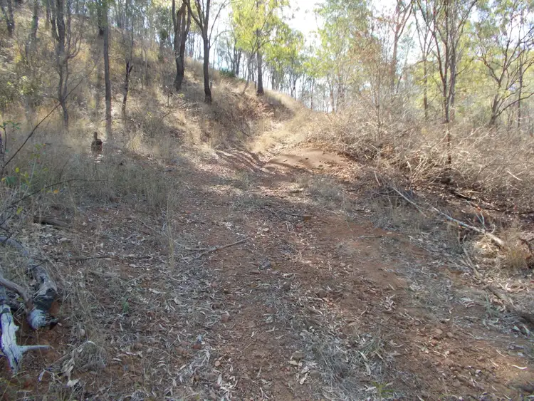 Sixth view of Homely rural property listing, 50340 Burnett Hwy, Mount Morgan QLD 4714