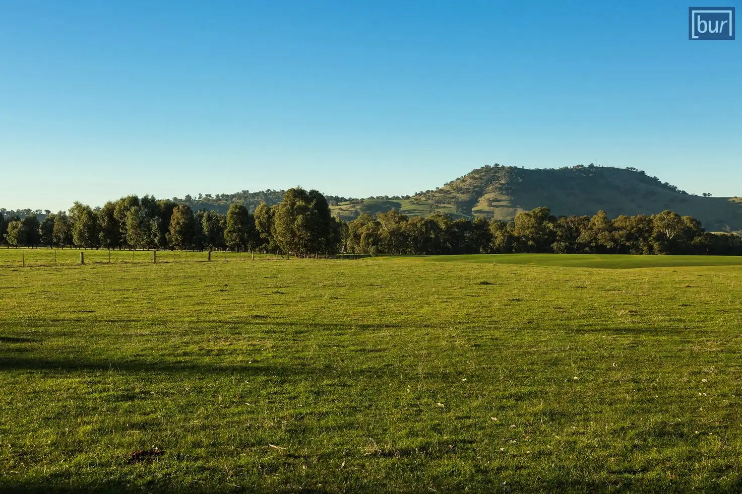Main view of Homely rural property listing, 435 Indigo Creek Rd, Indigo Valley VIC 3688