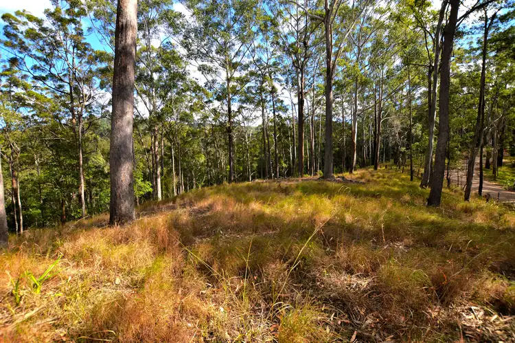 Second view of Homely land listing, 1 Gerrard Rd, Eudlo QLD 4554