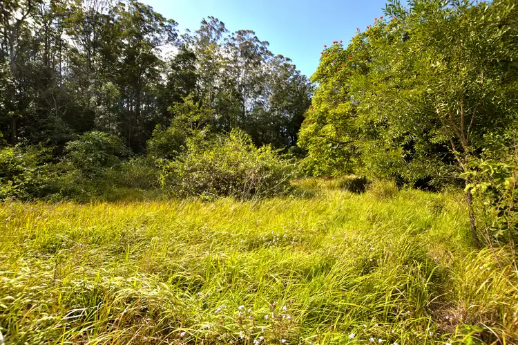 Fourth view of Homely land listing, 1 Gerrard Rd, Eudlo QLD 4554