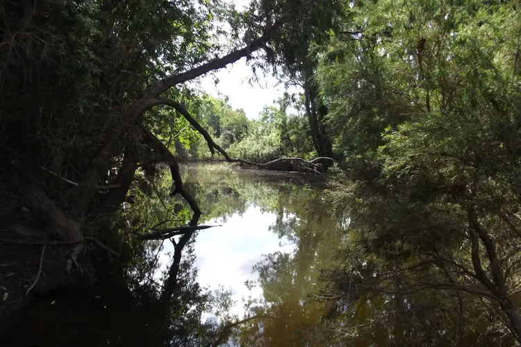 Third view of Homely rural property listing, 612 Coringa Road, Coringa QLD 4621