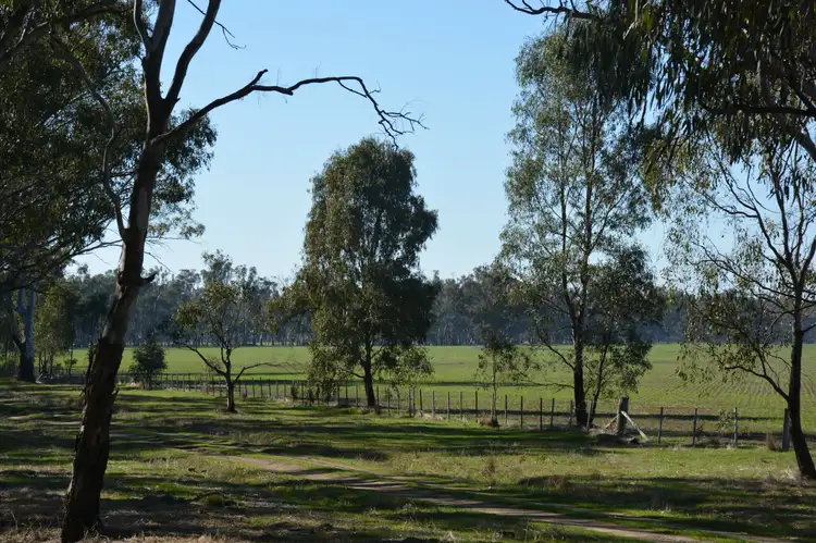 Main view of Homely land listing, . Haynes Road St, Bearii VIC 3641