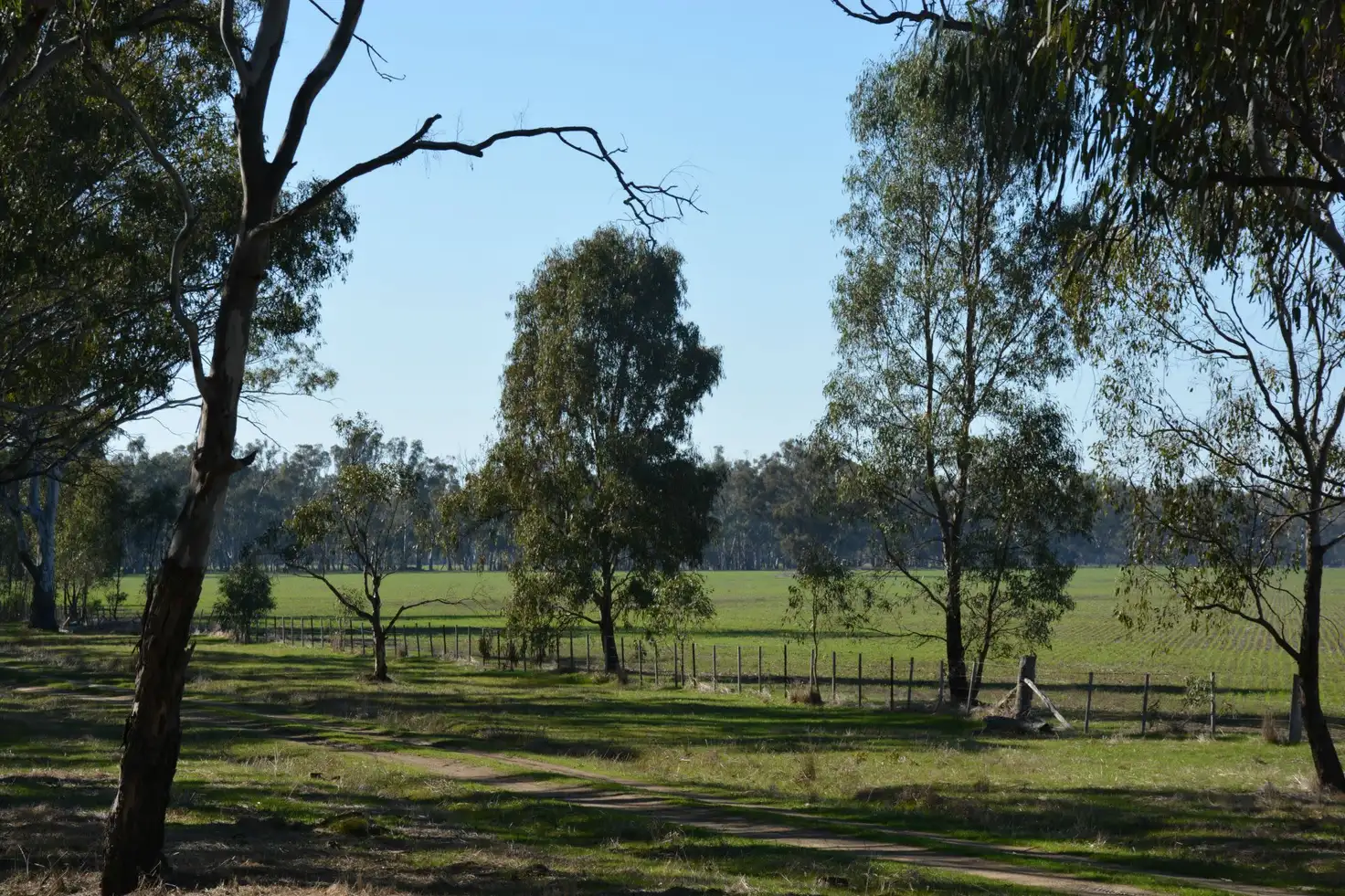 Main view of Homely land listing, . Haynes Road St, Bearii VIC 3641