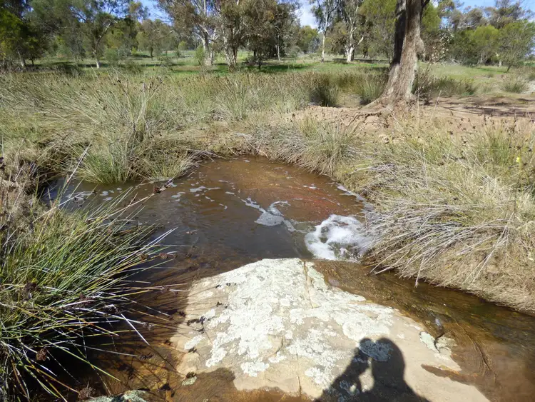 Seventh view of Homely house listing, 801 Julimar Road, Toodyay WA 6566