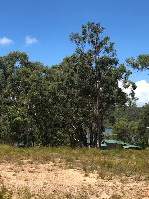 Fifth view of Homely land listing, 99 Highland Ridge Rd, Russell Island QLD 4184