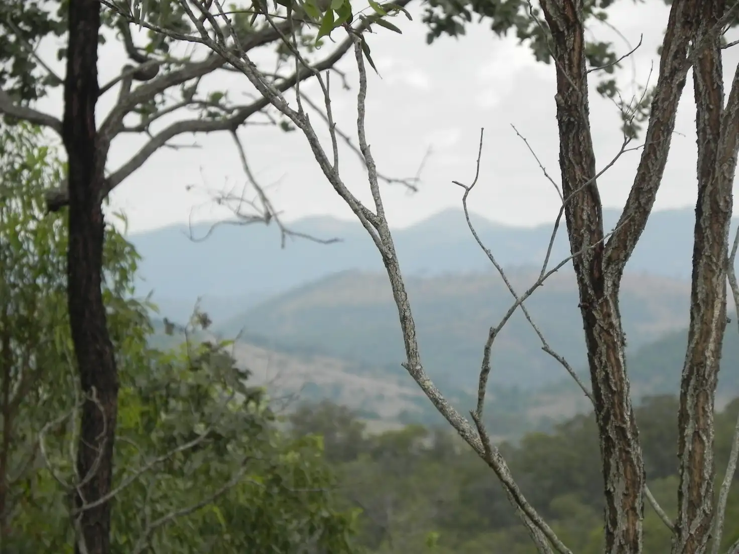 Main view of Homely land listing, 1259 Gregors Creek Rd, Woolmar QLD 4515