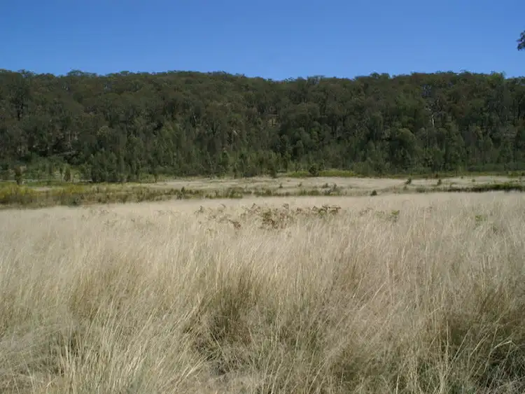 Sixth view of Homely rural property listing, Lot 21 Putty Road, Putty NSW 2330