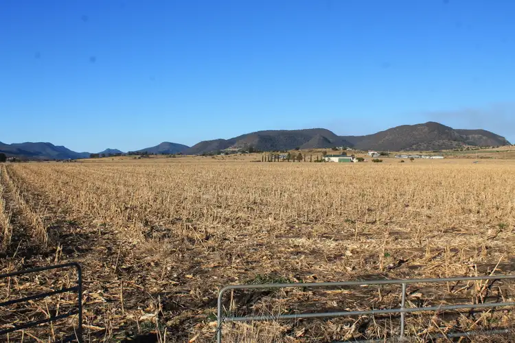 Third view of Homely rural property listing, Lot/418 Top Swanfels Road, Yangan QLD 4371