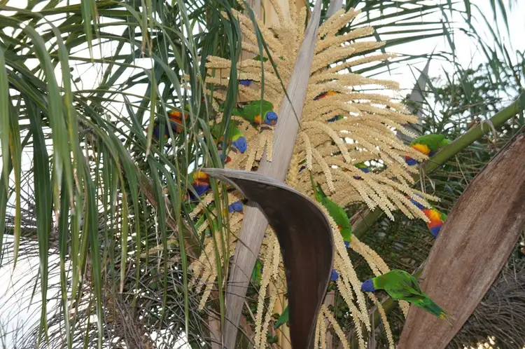 Fourth view of Homely land listing, 21 Sanctuary Way, Cooloola Cove QLD 4580