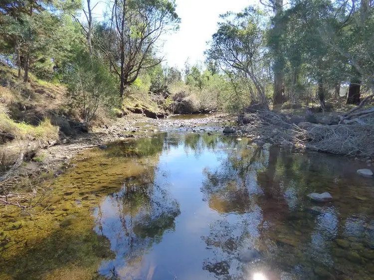 Third view of Homely rural property listing, 1610 Nethercote Road, Nethercote NSW 2549