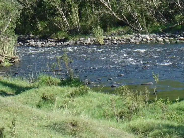 1252 Tabulam Road, Tabulam NSW 2469