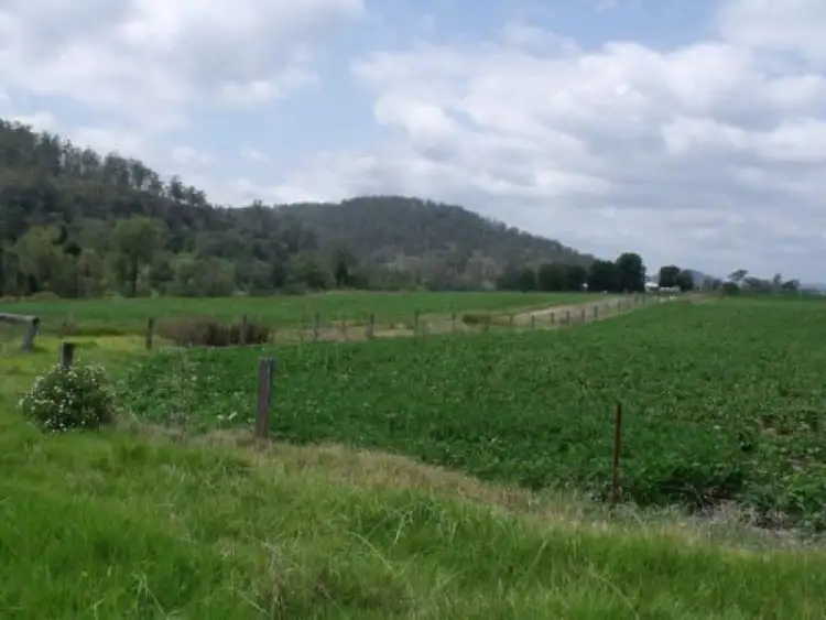 Fourth view of Homely rural property listing, 1252 Tabulam Road, Tabulam NSW 2469