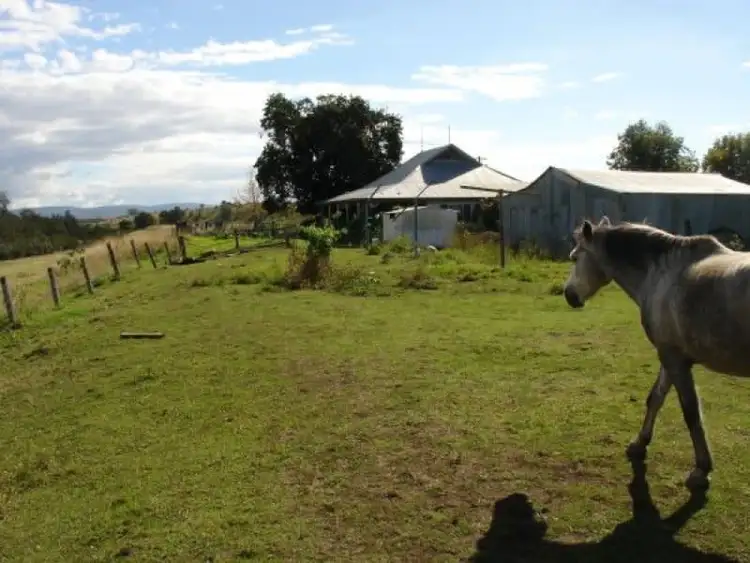 Fifth view of Homely rural property listing, 1252 Tabulam Road, Tabulam NSW 2469
