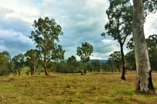 Fourth view of Homely rural property listing, . Racecourse Road, Yackandandah VIC 3749