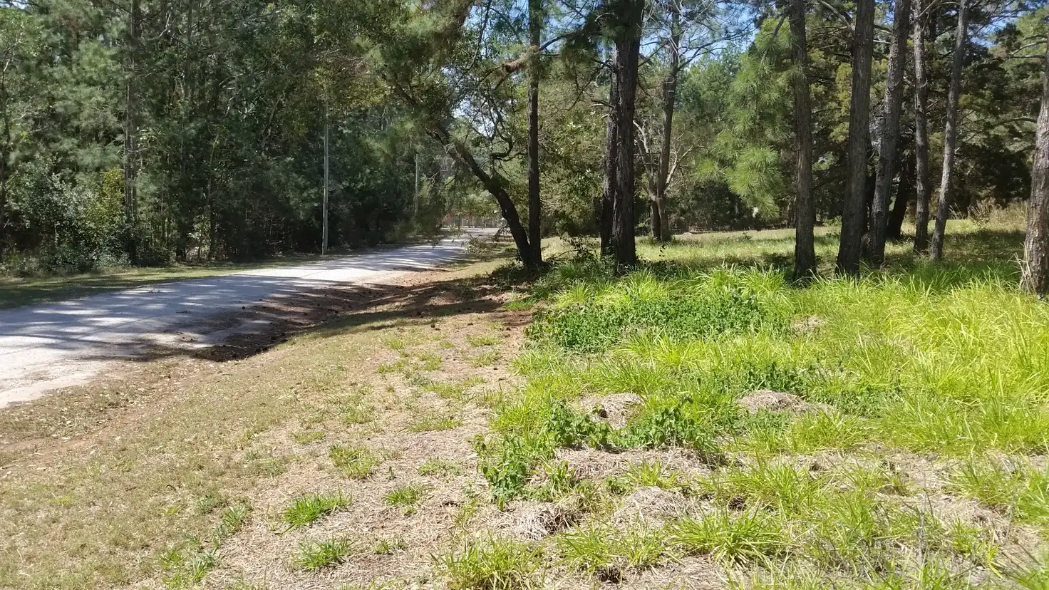 Main view of Homely land listing, 14 Nicholas Street, Russell Island QLD 4184
