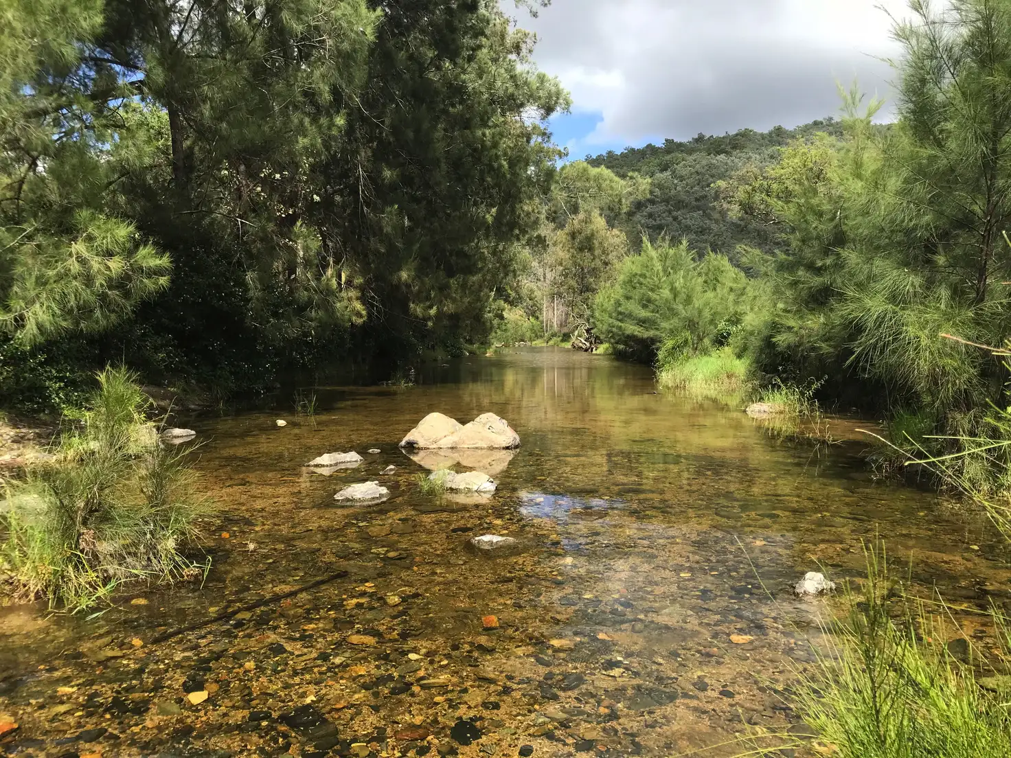 Main view of Homely rural property listing, Address available on request
