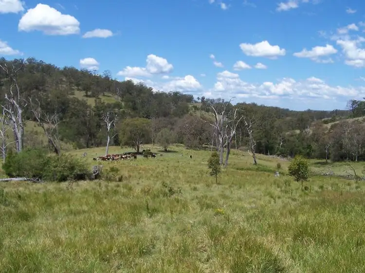 Razorback Creek, Rivertree NSW 2372
