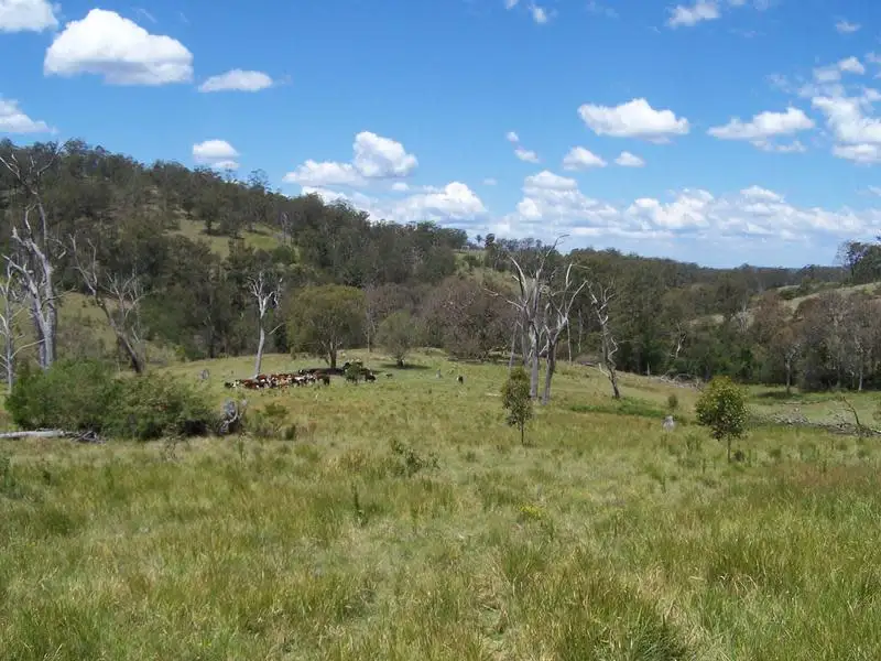 Main view of Homely rural property listing, Razorback Creek, Rivertree NSW 2372