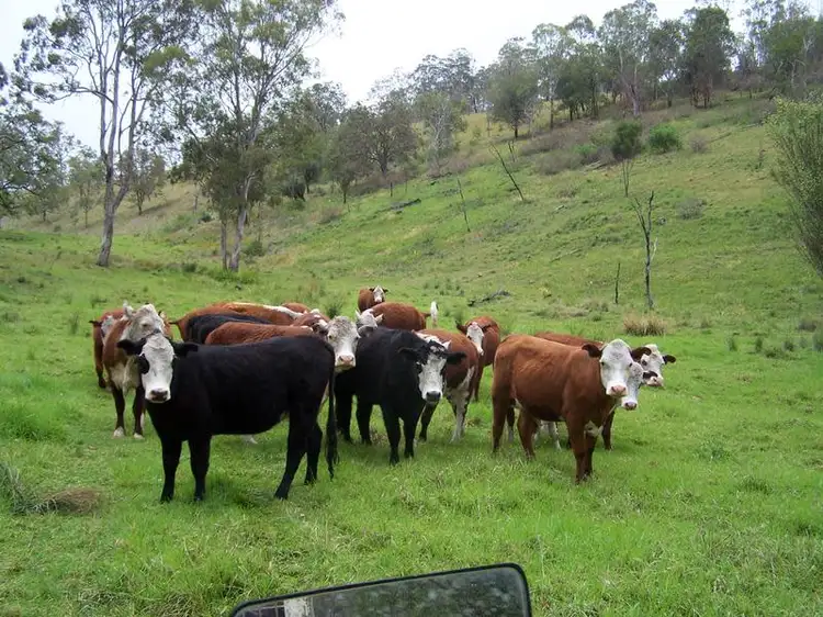 Fifth view of Homely rural property listing, Razorback Creek, Rivertree NSW 2372