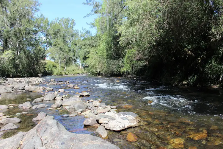 Second view of Homely rural property listing, 734 Barrington East Road, Gloucester NSW 2422