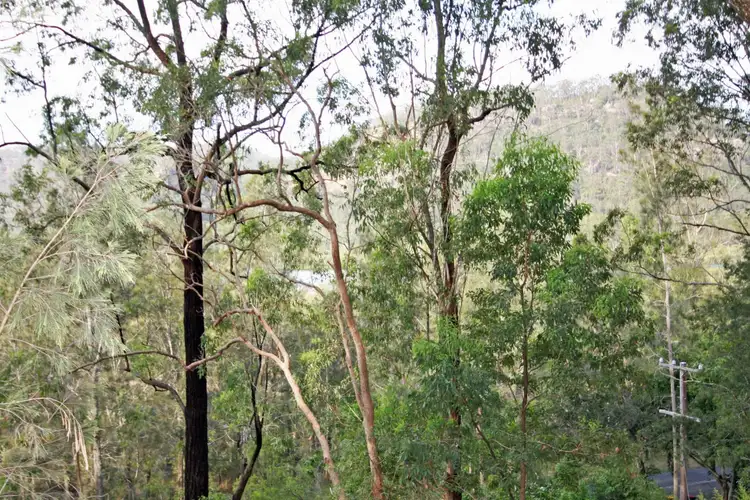 Fifth view of Homely house listing, 4168 Wisemans Ferry Road, Spencer NSW 2775