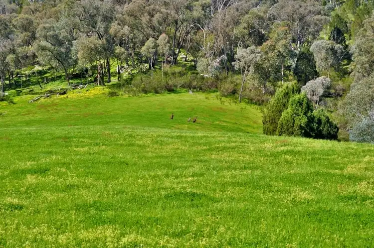 Second view of Homely rural property listing, The Rest - River Road, Talmalmo NSW 2640